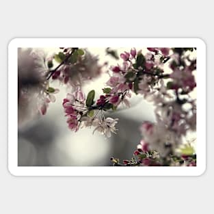 Spring moods Sticker